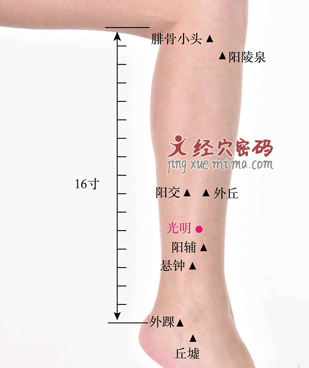 光明的准确位置图片