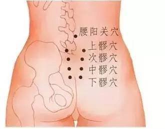 八髎穴对泌尿生殖系统、腰部疾病有很好治疗作用