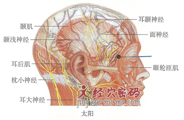 太阳的位置解剖图（图解）