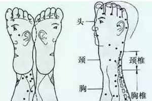 人体全息图，哪里不适按哪里（留着备用）