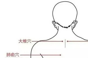 被誉为人体的“龙骨”，统摄一身之阳，养好它精气神十足