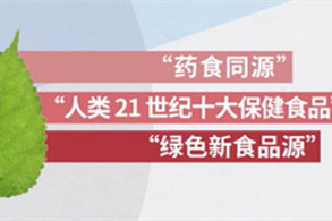 这种叶子是糖尿病和高血压“克星”，还能防心梗！可能就在长你家门口！