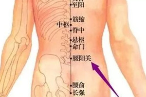 有一个穴位，按一按，补充腰部阳气，腰酸腰痛都消失了