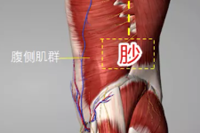 程凯养生说：敲胆经的作用 每天坚持做这个动作，缓解腰腿痛