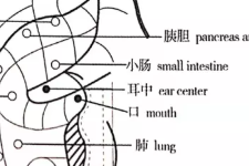 长期睡眠不足患抑郁症的风险更高