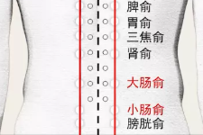 程凯养生说：缓解胃痛、腹痛，小腿部精准选穴方案