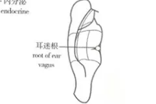 程凯养生说：植物神经功能紊乱，穴位保健方法