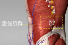 程凯养生说：最难学的经脉，却藏有调节脾胃的方法