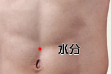 芒种护脾，祛湿先行，身体自备“平胃散”