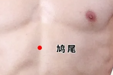 膈肌——为什么我们叫他“上帝的帐篷”