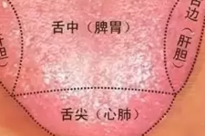 划重点，你“心心挂念”的心都在这里