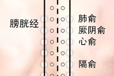 冬至节气，预防疾病发生，巧用十二背俞穴