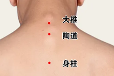 冬至一阳生，温养阳气，艾灸三大穴