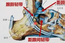 学员分享：丘墟透照海