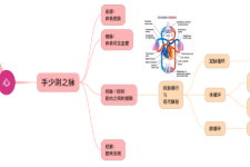 学员分享：重新认识“心”