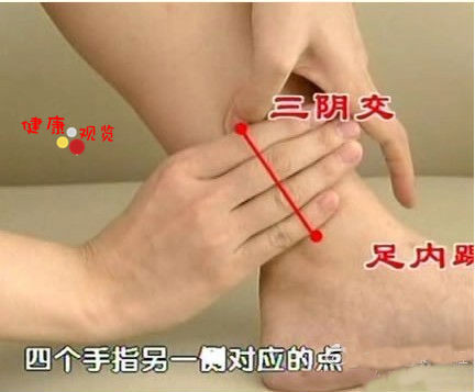 三阴交的位置 三阴交的位置