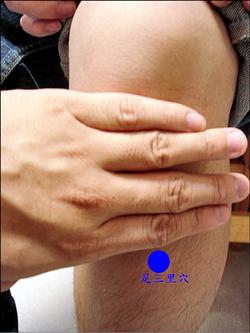 足三里穴位位置图 足三里穴位位置图