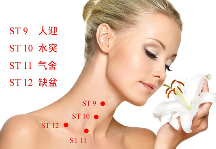 缺盆穴位位置图 缺盆穴位位置图