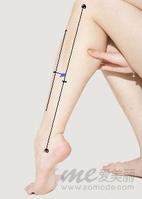 丰隆穴位位置图 丰隆穴位位置图