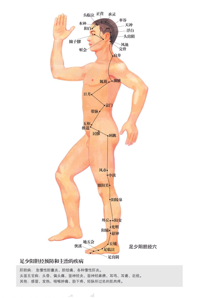 足少阳胆经穴位图 足少阳胆经穴位图