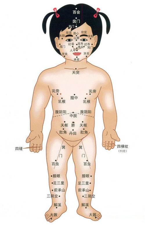 宝宝正面穴位图 宝宝正面穴位图