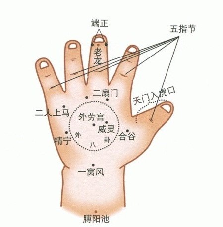 儿童手背穴位图 儿童手背穴位图