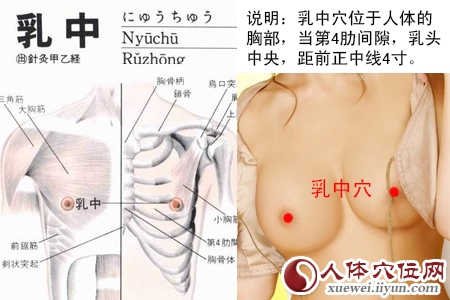 乳中穴位位置图 乳中穴位位置图