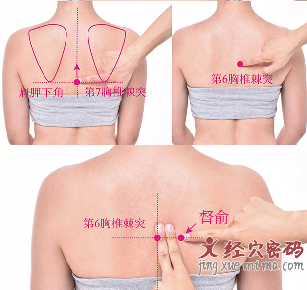 督俞的准确位置图片