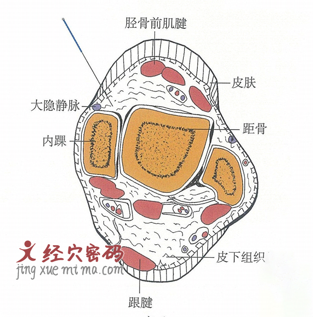 商丘的位置解剖图（图解）