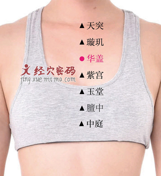 高清图解华盖穴位位置图