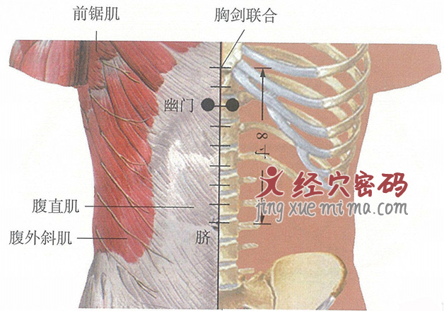 幽门穴位位置图及针灸穴位图解