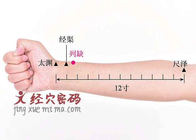 秋冬季是咳嗽的高发期,这两个穴位是清肺止咳的好帮手 秋冬季是咳嗽的高发期,这两个穴位是清肺止咳的好帮手