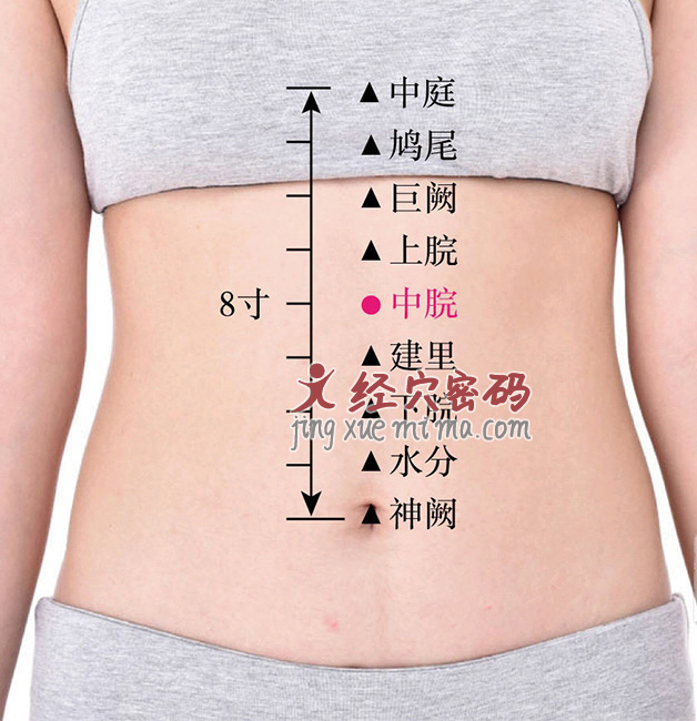 胃胀、胃不舒服，两个穴位推一推， 蔬理肝气和胃止痛
