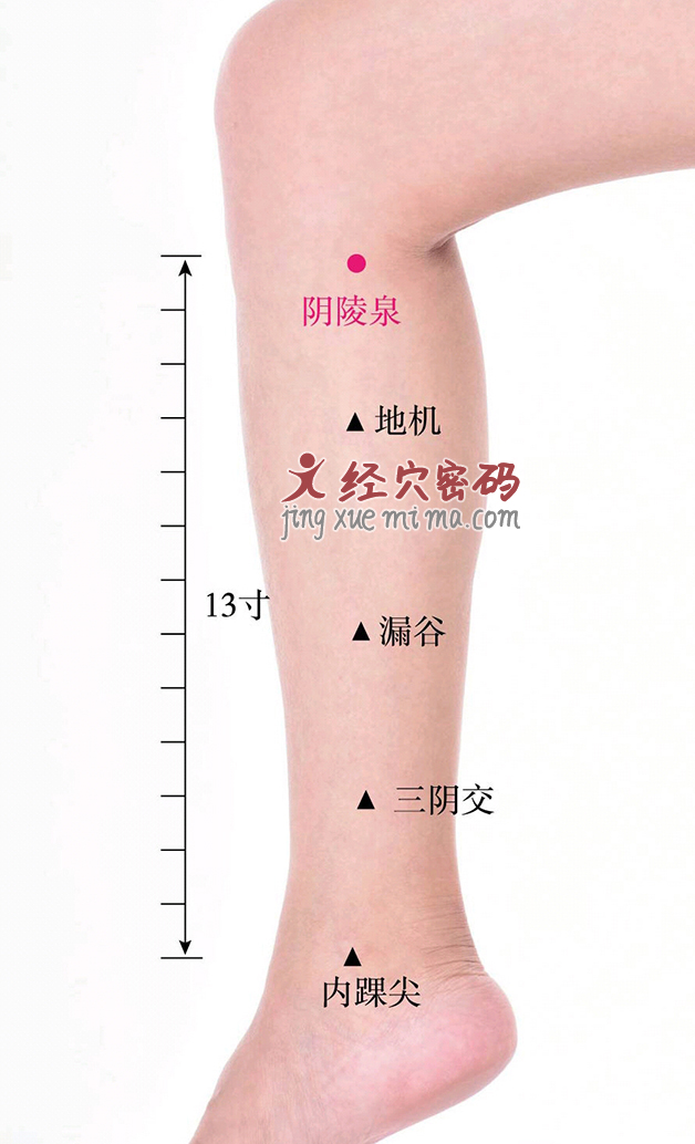 湿气重？不用怕！常按2个“祛湿穴”，健脾又除湿