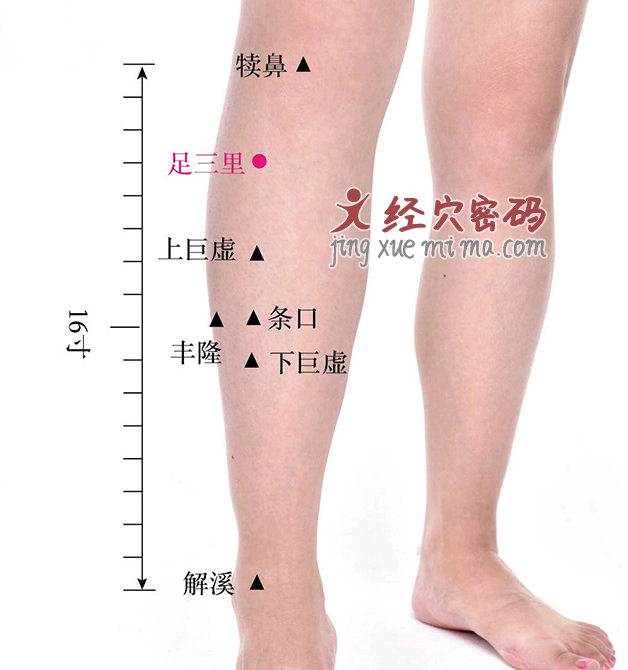 失眠“最怕”3个穴位，每天按揉下，调养气血，睡觉越来越香