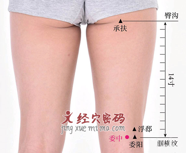 腰痛,直不起来?按摩这几个穴位,舒筋活络,改善腰背疼痛 腰痛,直不起来?按摩这几个穴位,舒筋活络,改善腰背疼痛