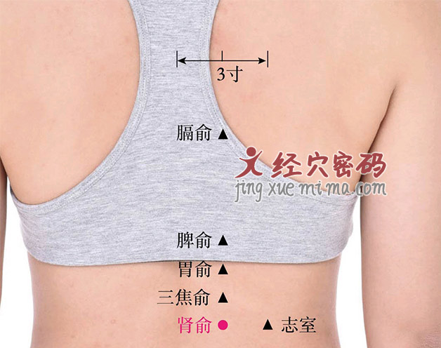 腰痛,直不起来?按摩这几个穴位,舒筋活络,改善腰背疼痛 腰痛,直不起来?按摩这几个穴位,舒筋活络,改善腰背疼痛