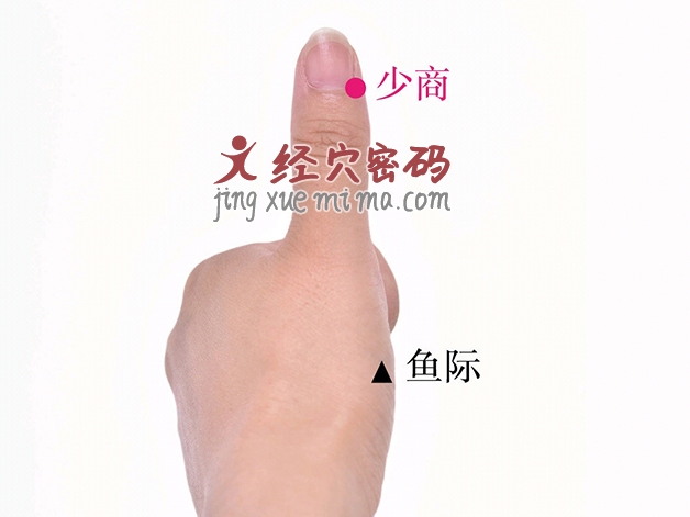 秋冬季是咳嗽的高发期,这两个穴位是清肺止咳的好帮手 秋冬季是咳嗽的高发期,这两个穴位是清肺止咳的好帮手