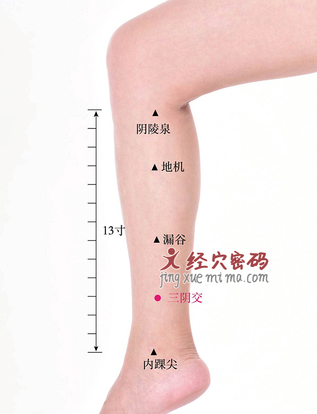 气血不足百病生，常按这3个穴位，气血旺盛，提高免疫力