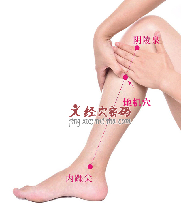 眼袋大、舌头有齿痕、消化不良，是脾经不通，用3个方法疏通脾经