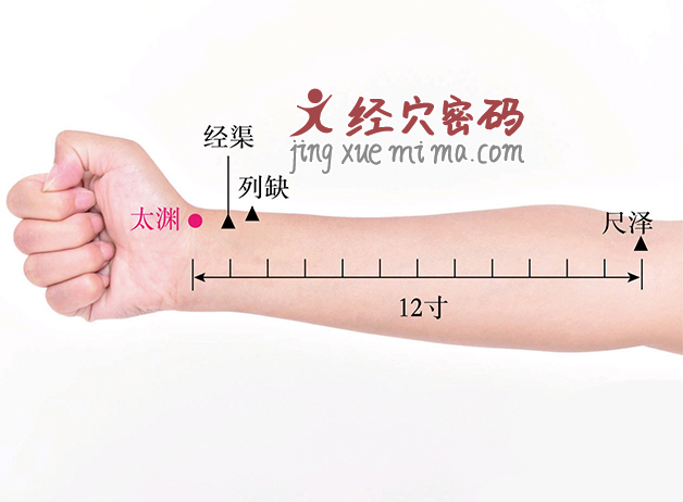 大补肺气按揉1个穴位,每天早晚3分钟,肺气充足更长寿 大补肺气按揉1个穴位,每天早晚3分钟,肺气充足更长寿