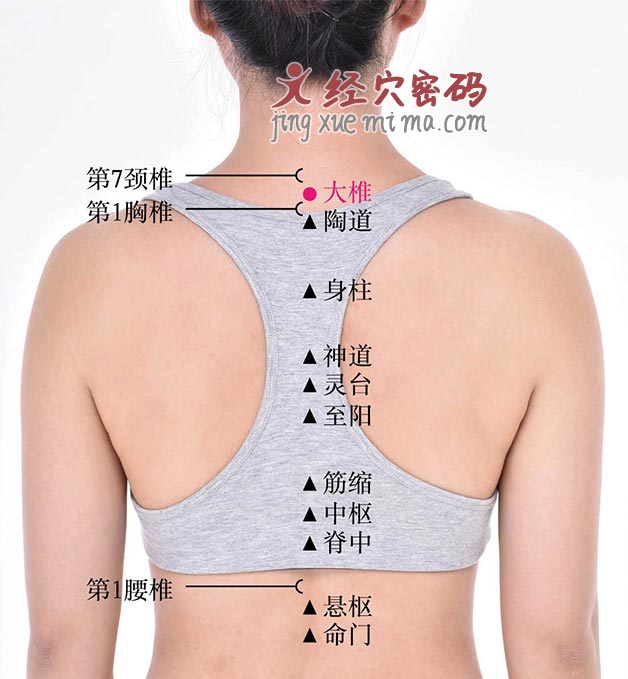 颈椎疼痛头晕恶心?按摩3个穴位 通经活络预防颈椎病! 颈椎疼痛头晕恶心?按摩3个穴位 通经活络预防颈椎病!