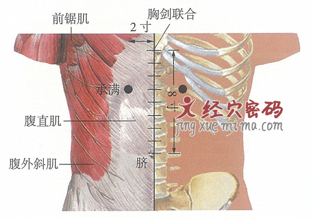 承满穴位位置图及针灸穴位图解