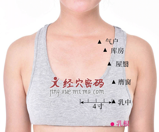乳根穴——呵护乳房每一天