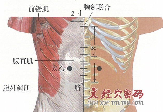 太乙穴位位置图及针灸穴位图解