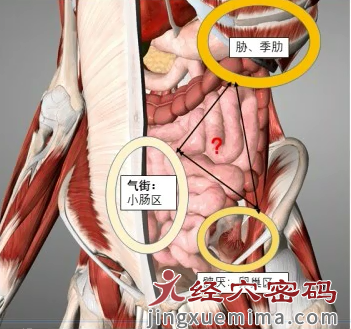 足少阳之带脉与带脉之带脉的区别