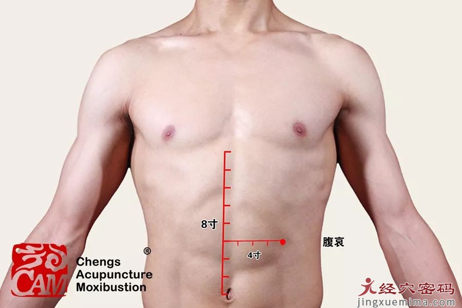 大便排不干净，腹痛 下痢脓血与腹哀穴