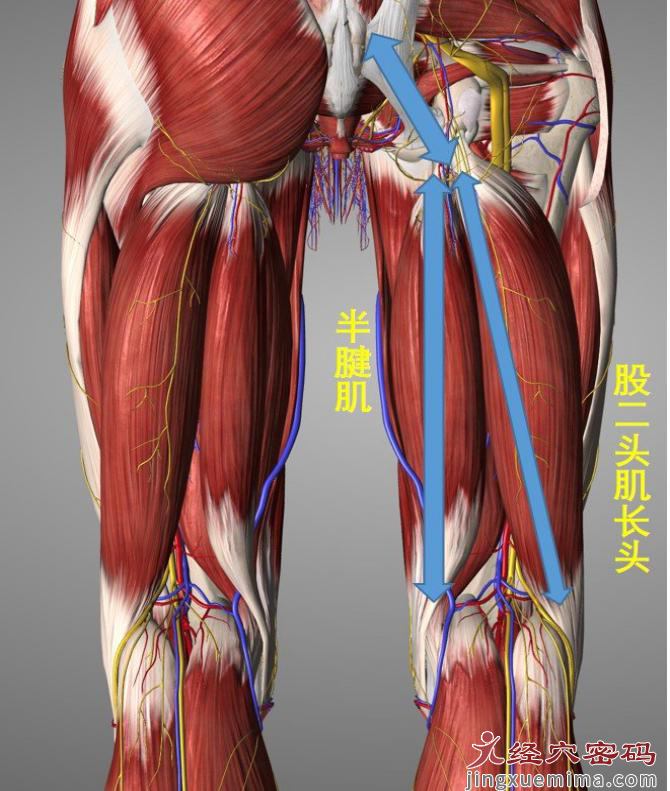 人人都知道的“妇科三阴交”，按揉时肿胀疼痛是怎么回事？