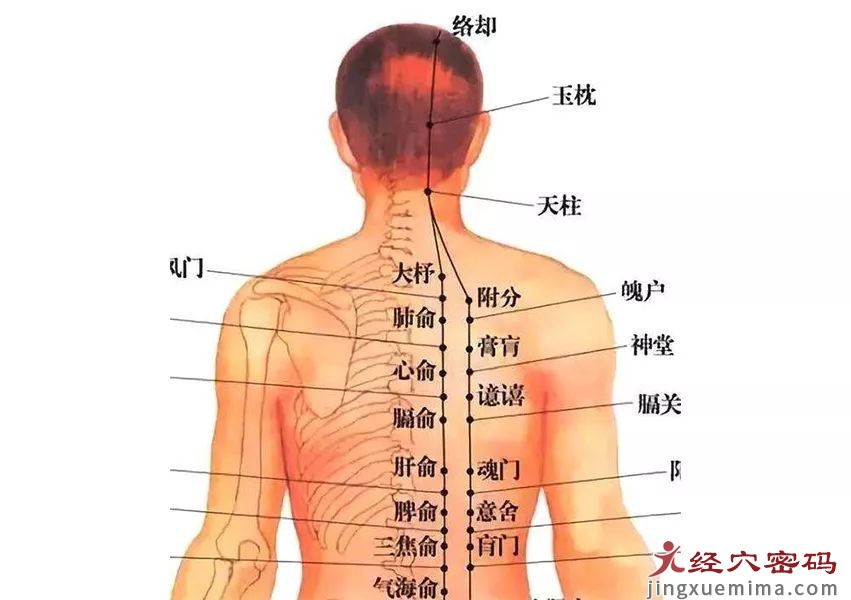 背俞穴大家普遍存在的困惑 学习是存在盲点的，但可怕的是自己不知道自己的盲点