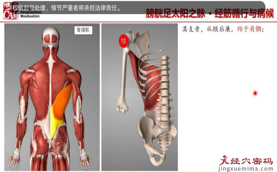 医案分析：中医针灸治疗右侧头部晕胀，颈肩背部僵硬